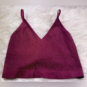 2/$20 Forever 21 Berry & Metallic Silver Crop Top XS